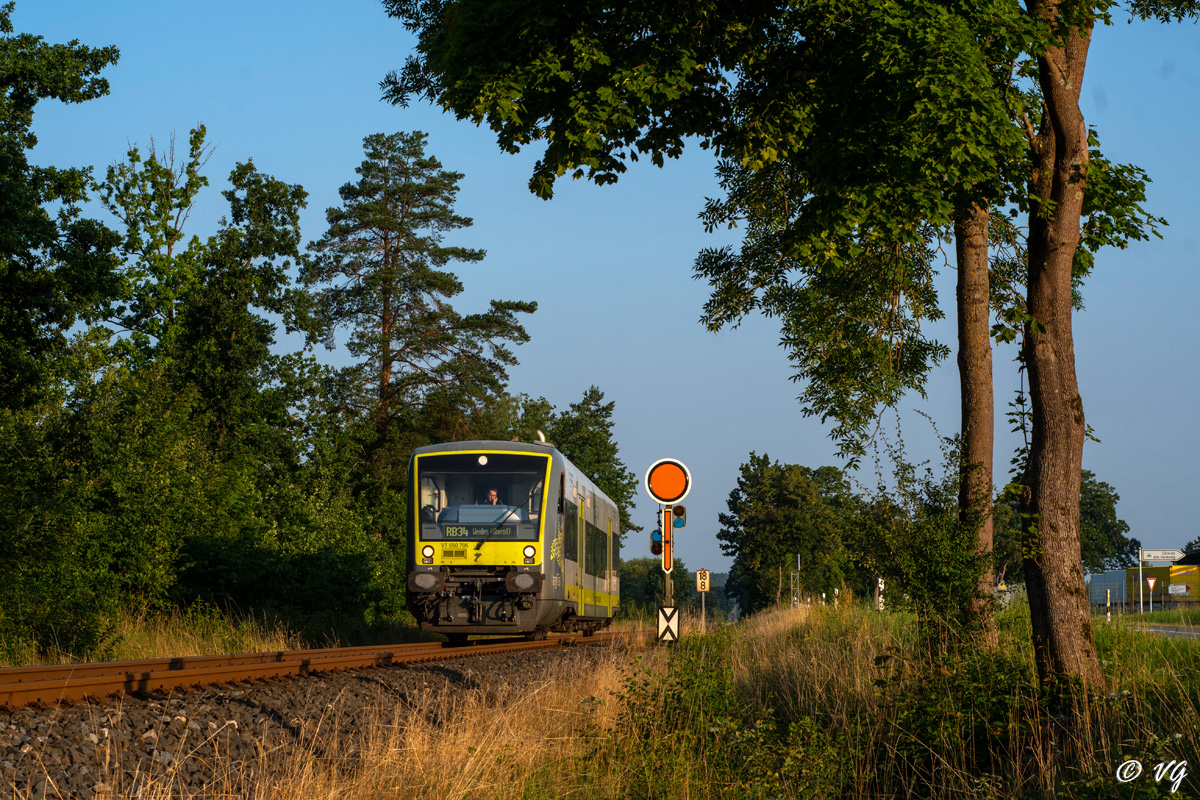 Grüne Shuttle Vögel
